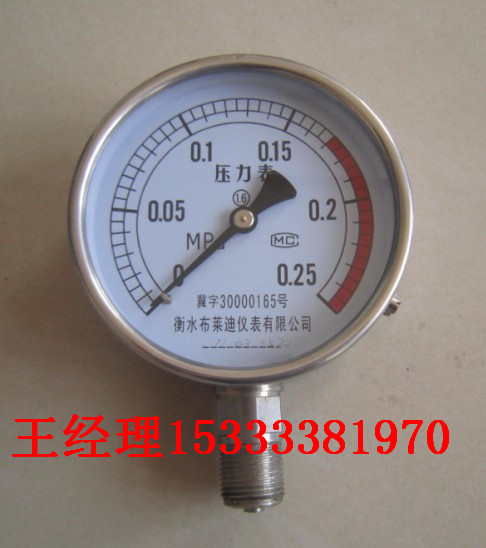 布莱迪仪表公司提供高性价不锈钢压力表