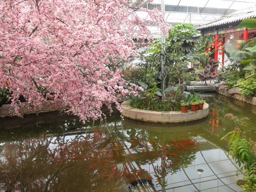 高大上的生态餐厅建设