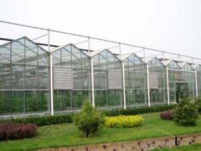 蔬菜溫室大棚建設|花卉溫室大棚建造|新型溫室工程建造|連棟溫室工程建造|新型陽光房造價-山東富爾農業科技發展有限公司