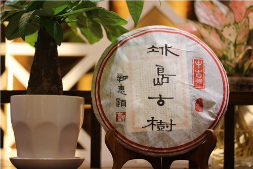 2014冰岛古树