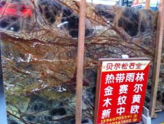 贝尔松供应直销雨林金石材【火热畅销】_价位合理的雨林金