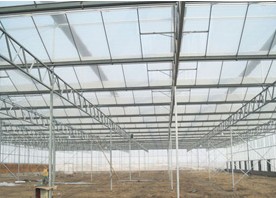 专业玻璃温室大棚建造