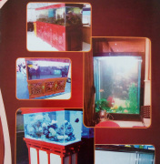 實木雕刻魚缸價錢如何, 的實木雕刻魚缸水藍玻璃制品優惠供應