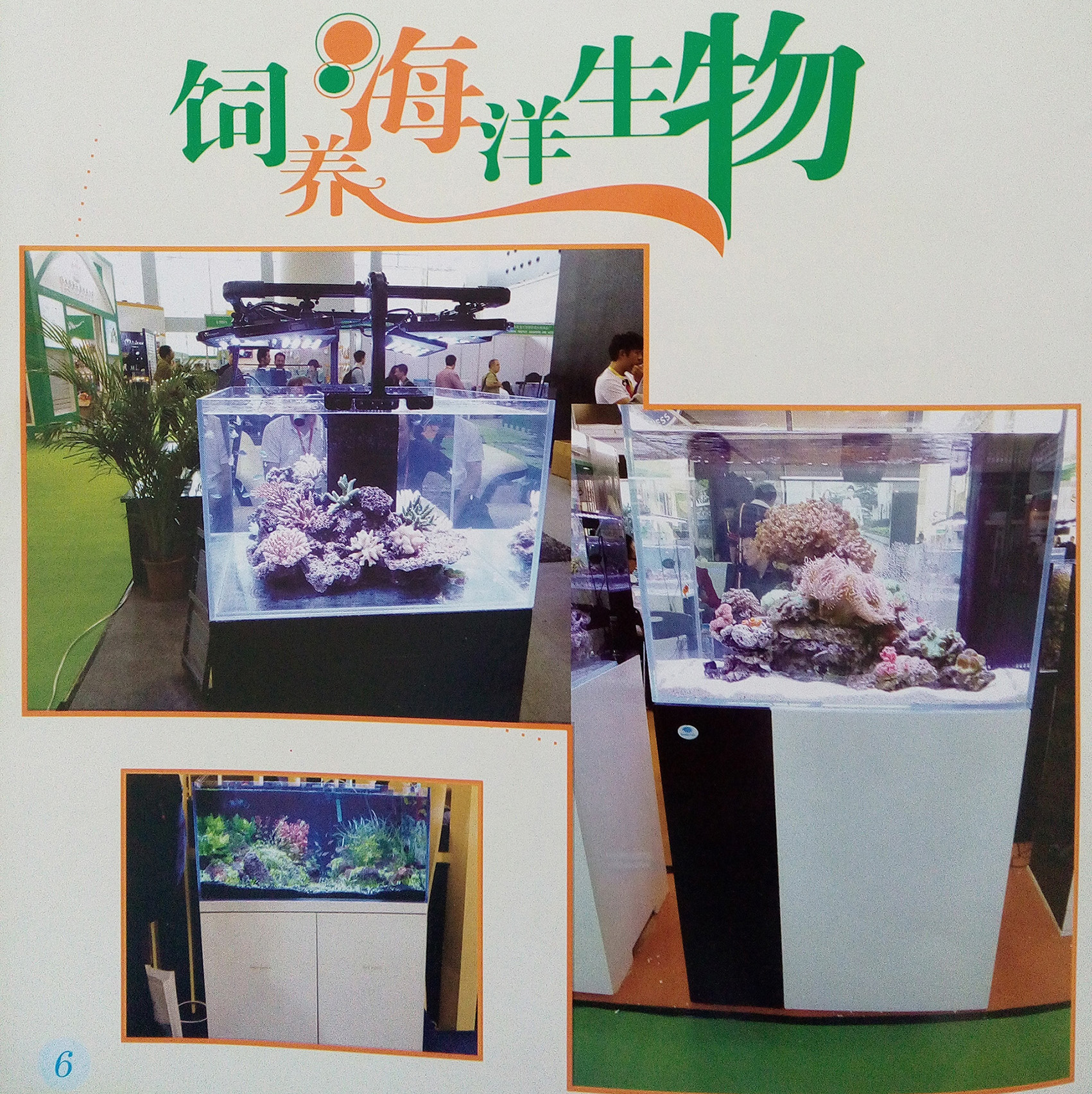 海洋生物鱼缸
