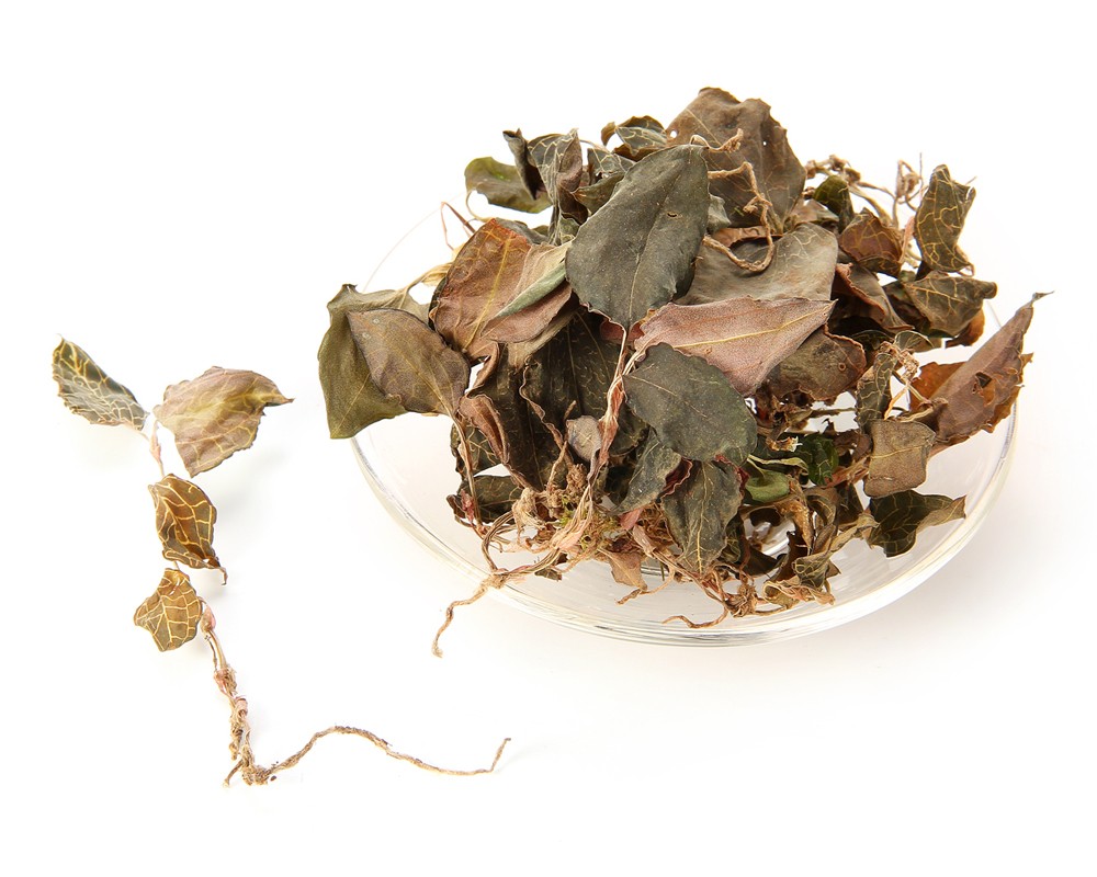 野生金线莲茶，广东实惠的金线莲品牌