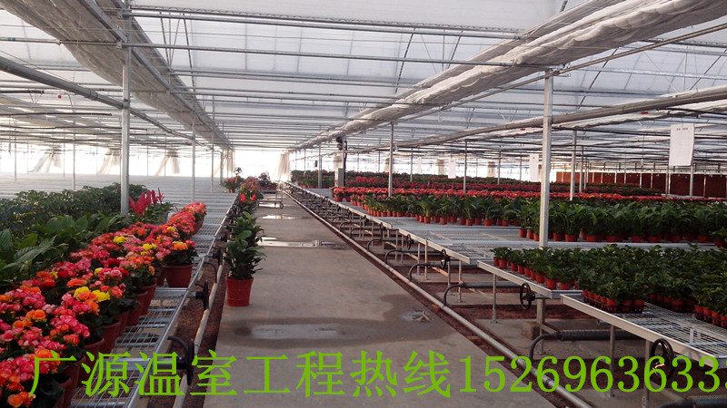 广源温室出售划算的苗床_安徽苗床边框
