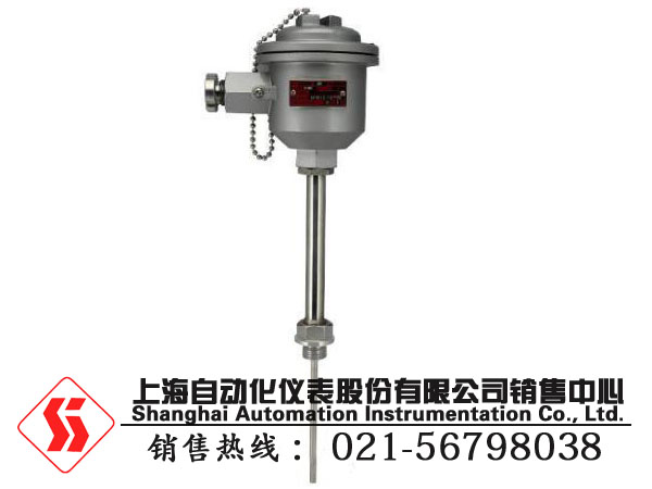 厂家直销WRN-240A隔爆型本安型热电偶：优惠的WRN-2