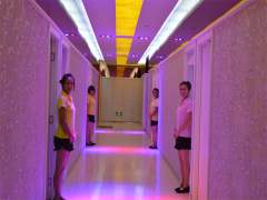 【薦】昆明具有口碑的肥貓 醫院資訊——昆明