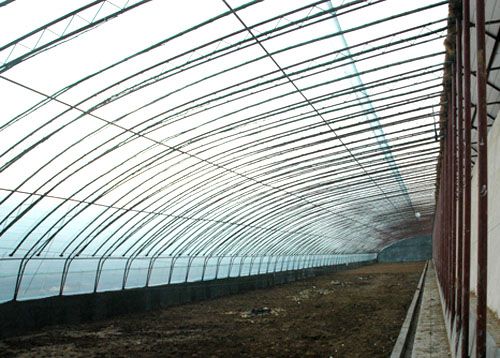 日光温室建造专家—信赖三元朱农业 