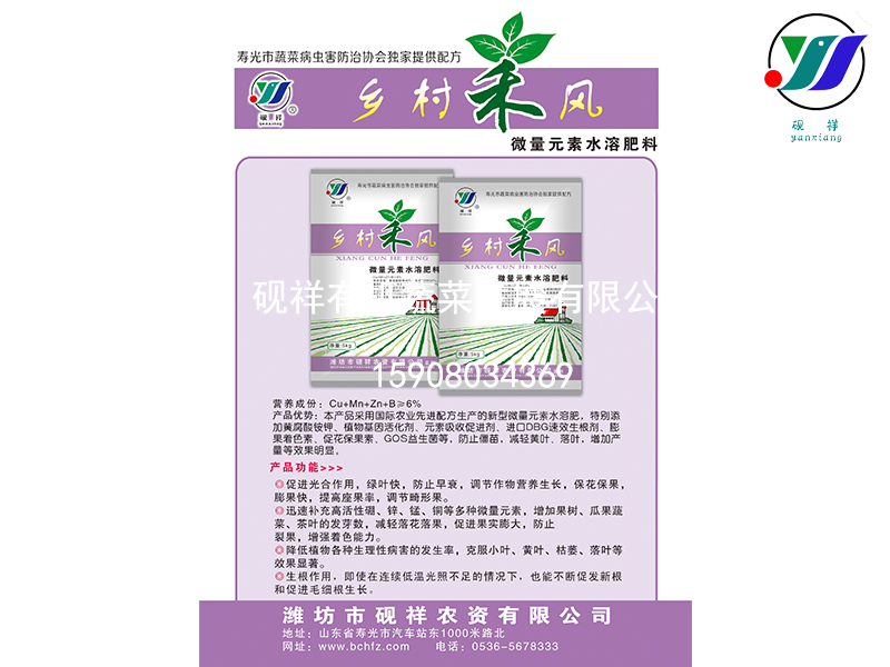 潍坊优质的靓果素哪里有供应