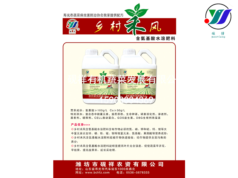 根之道