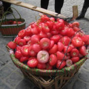 划算的广西莲雾果哪里有卖,广西哪里有莲雾果卖