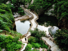 哪家公司有提供实惠的崂山一日游·北九水景区，崂山北九水一日游