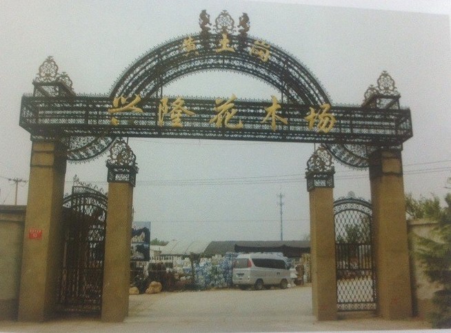 青海铁艺楼梯护栏：在哪能买到专业的铁艺大门呢