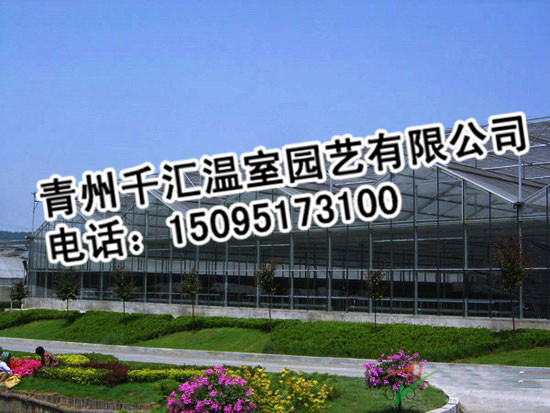 千汇温室园艺出售合格的玻璃连栋温室