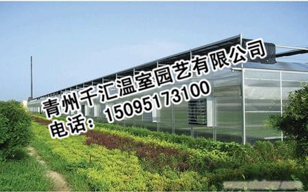 专业建造薄膜温室——最好的玻璃温室供应商就在潍坊
