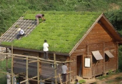 高质量的屋顶绿化——福建哪家屋顶绿化公司信誉好