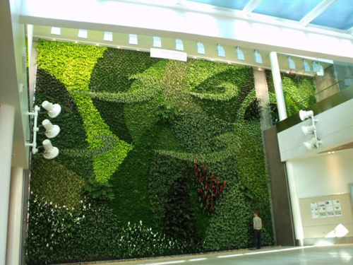 福建植物墙 福州植物墙 植物墙公司