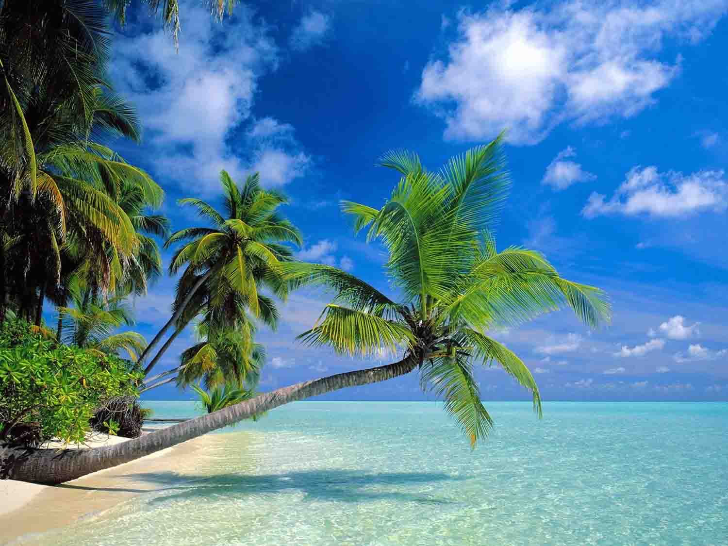 天涯海角多少钱，具有品牌的三亚旅游，陕中旅提供