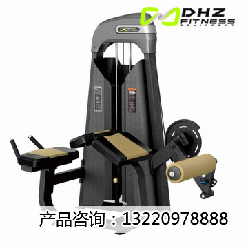 健身房器材厂家_【推荐】德州报价合理的健身房器材DHZ-N1