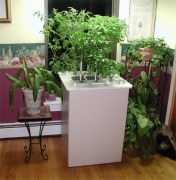 晉安花卉租賃——福州哪家花卉租賃公司口碑好