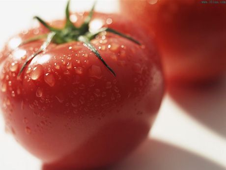 青州有机蔬菜—有机西红柿