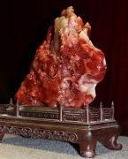 福州指日高升芙蓉,哪里有供应新品指日高升芙蓉