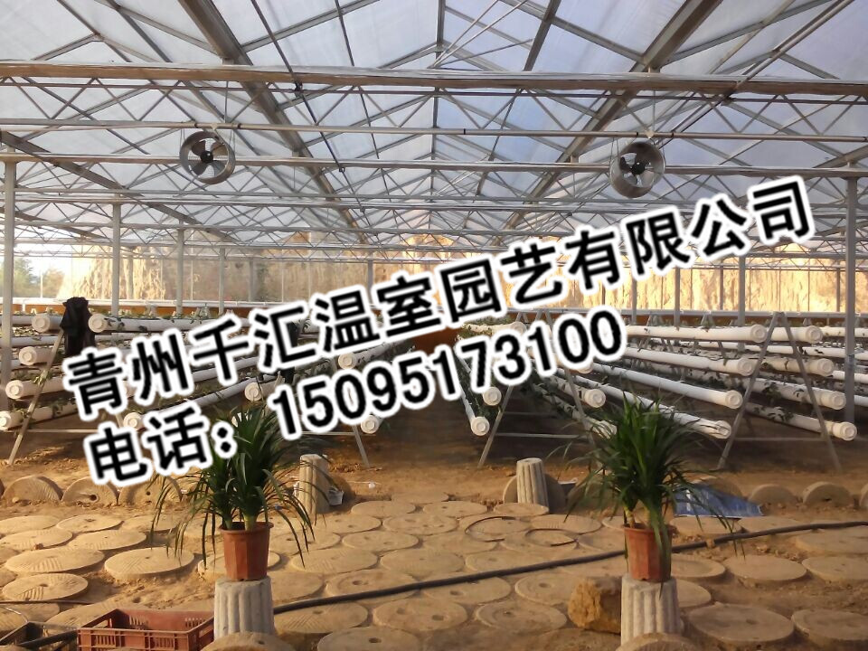 潍坊性价比高的玻璃连栋温室·厂家直销