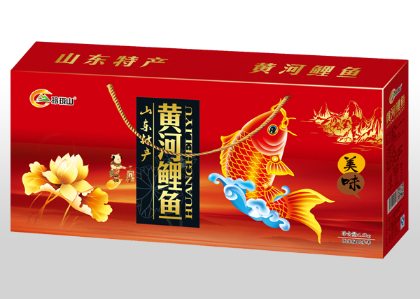 潍坊哪里有供应品质好的黄河鲤鱼——出售黄河鲤鱼