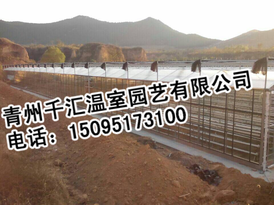 玻璃连栋温室大棚价格范围，玻璃连栋温室造价