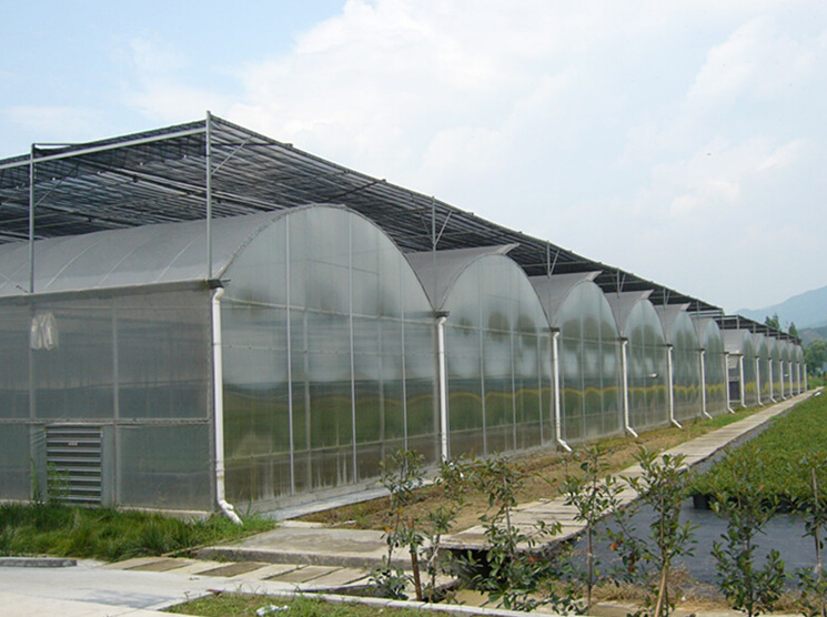 专业建造【纹络式温室大棚】