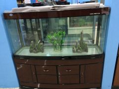 實惠的觀賞魚缸在蘇州有售|家用觀賞魚缸