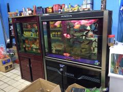 宿遷亞克力魚缸|為您推薦質量硬的魚缸