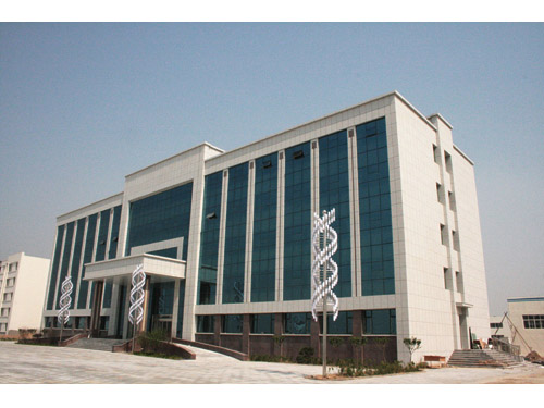 保温装饰一体化板价格 优质的保温装饰一体化板推荐