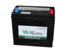 供应厦门地区具有口碑的骆驼牌蓄电池|代理骆驼蓄电池