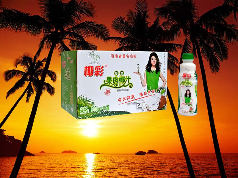 椰子汁种类 海南新品天然椰汁供应