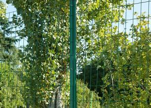 优质果园围栏网厂家现货供应，河北果园围栏网