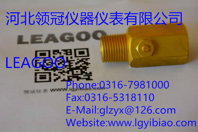 新型压力表阻尼器 领冠仪表特价压力表阻尼器