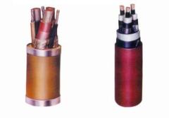 北京具有口碑的鎧裝控制電纜 鎧裝控制電纜信息