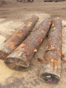 建筑方木市场价格——建筑方木价格行情