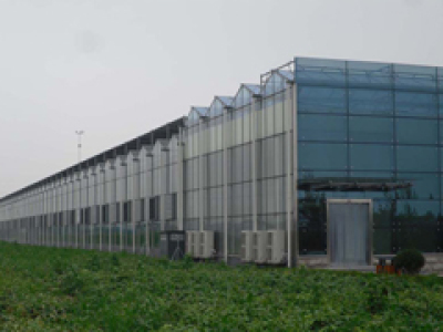 育苗温室工程建设,连栋温室工程建造,生态餐厅工程建设,山东智能温室建设,山东温室大棚建设-淄博嘉润农业发展有限公司