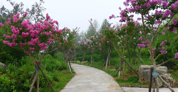 植物园建设
