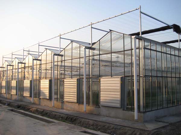 受欢迎的【农业温室建设—薄膜连栋温室】