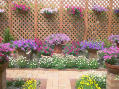 庆阳防腐木围栏定做,信誉好的防腐木围栏经销商