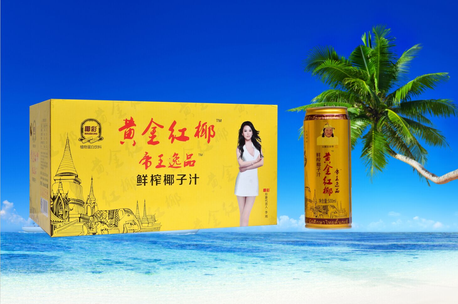 天然的红椰——海口哪里有供应精装黄金红椰鲜榨椰汁