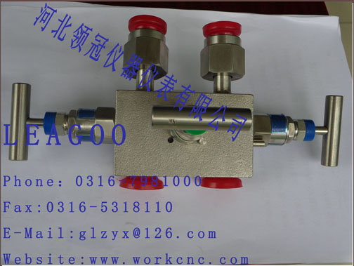廊坊哪里有品质最好的304阀组316阀组s31803阀组