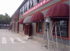 品质优良的西瓜蓬尽在博力越：黄陂西瓜蓬