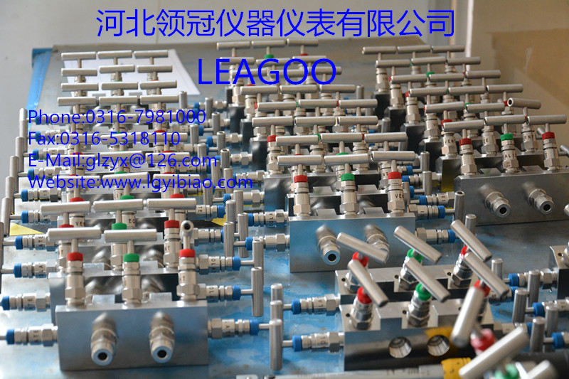 优质的压力表附件仪表五阀组品牌推荐