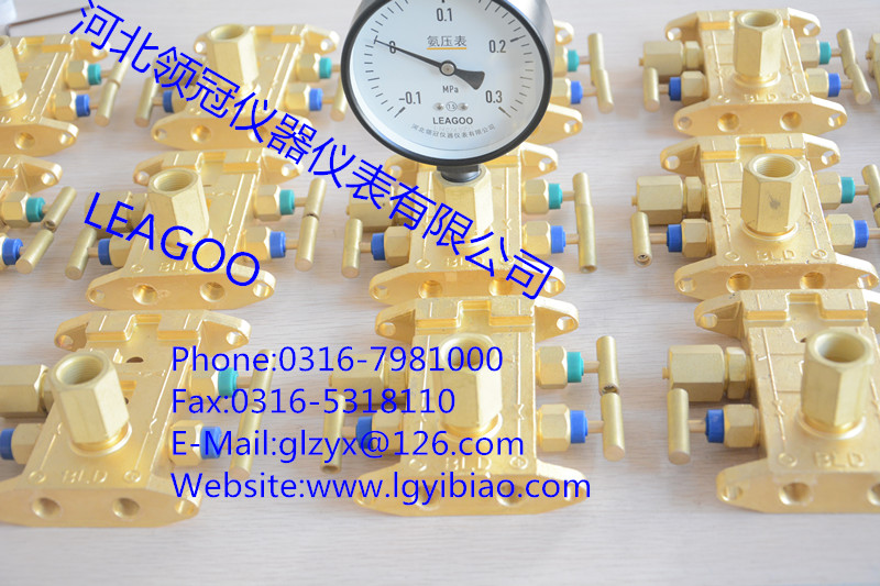 河北领冠最优质的仪表三阀组质优价廉