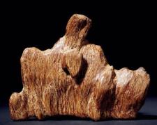 海南精湛的海南沉香供应:海南哪里有沉香苗卖